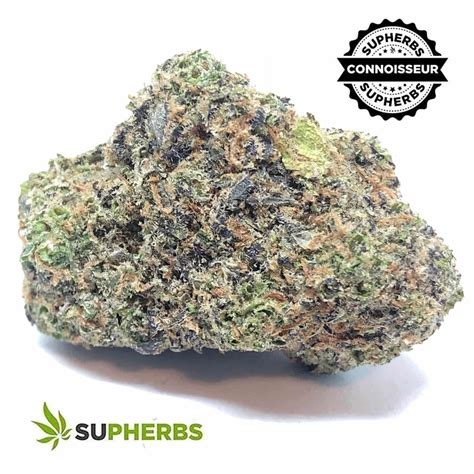 It is an indica-dominant plant, as opposed to a sativa-dominant one. . Sugar bear weed strain